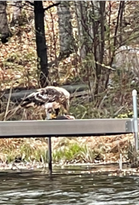 IMG 2269 e1646866960613